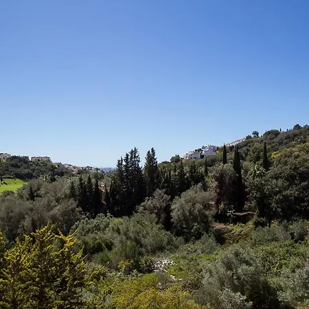 아파트 With Solarium In *