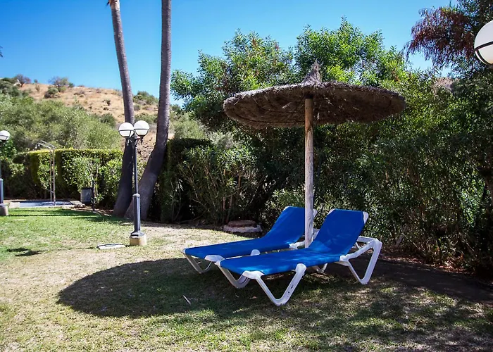 With Solarium In 公寓